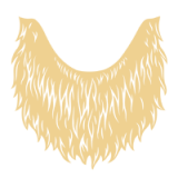beard beard