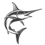 fish fish